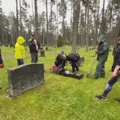 Hautakiviä kaadettu Lapinlahdella