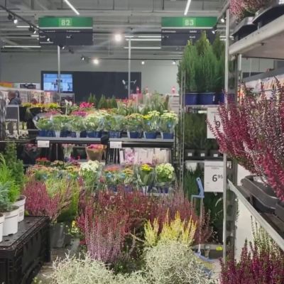 Kaupat vaikeuksissa joulukaupan suhteen