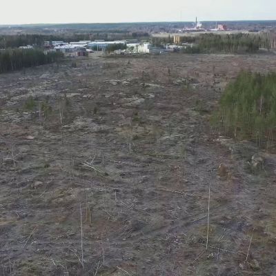 Haminan akkumateriaalitehdas vaatii meren