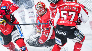 Iilahti hittade tillbaka till hockeyglädjen – och -ligan. Jonathan Iilahti, Sport.