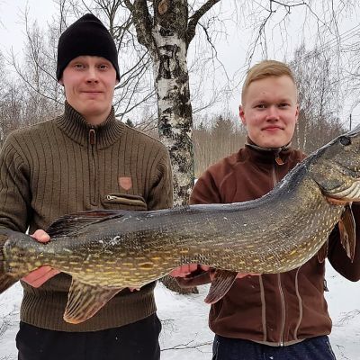 Saku Nieminen ja Paavo Ruhanen saalistivat suurhauen.