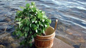 vihta ja löylyastia