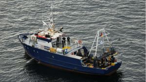 Fartyget Fritz Reuter misstänks har kränkt gravfriden vid platsen där Estonia förliste. Tyskt fartyg som dyker vid M/S Estonia.