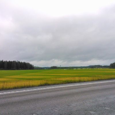 Ohrapelto läikikkäänä.