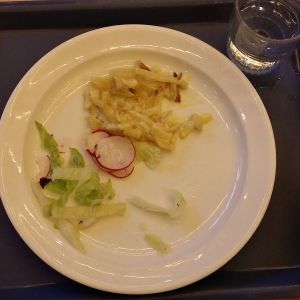 4-luokkalaisen tytön lounasannos: vähän broilerikiusausta, salaattia, retiisiä ja lasi vettä