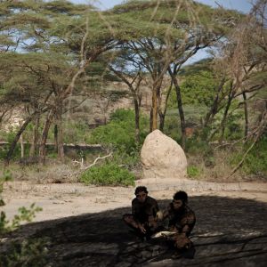 Homo erectus var utvecklad för Afrikas öppna landskap. Homo erectus, Etiopien (This restoration is based on evidence from the Daka Member, Ethiopia. The photo in the background is from a gallery forest on the Kebena River, a tributary of the modern Awash River.)