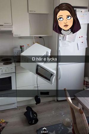 En bild Jan Andersson publicerade på Snapchat då han kom hem och såg att mikrovågsugnen, vaser och vattenkokaren fallit från hyllorna . En mikro hänger från sin sladd och krossade vaser ligger på golvet.
