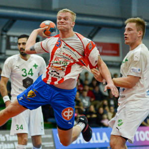 Den skalliga bör se glad ut | Huvudstadsregionen | svenska.yle.fi