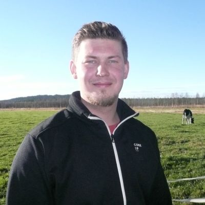 Tepastossa tyrnipensaita kasvattava maanviljelijä Seppo Lappalainen sanoo, että tämän syksyn marjasato oli kerrassaan hyvä. Seppo uskoo, että suuri sato johtui aikaisesta keväästä ja onnistuneesta pölytyksestä. Marjat kypsyivät aikaisin, kun ne yleensä ovat kypsiä syys-lokakuun vaihteessa.