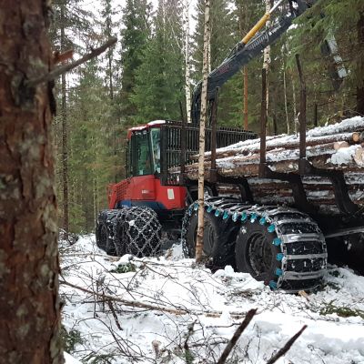 Ajokone vie puuta metsästä