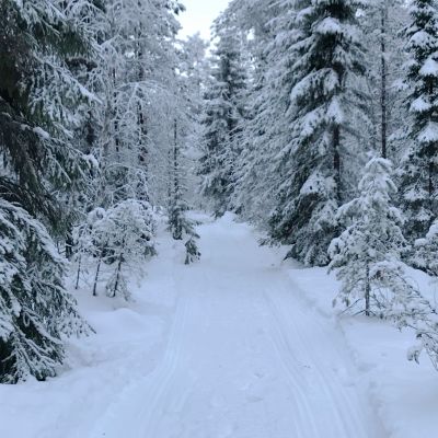 Talvikävelypolku.