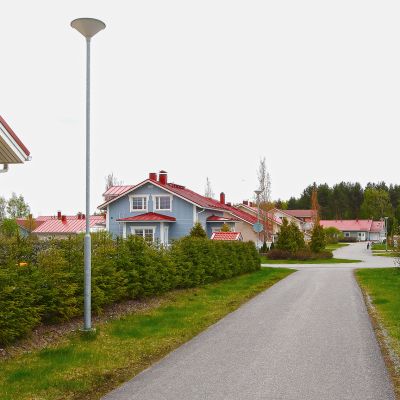 Omakotitaloja.