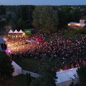 Tusentals människor på den första Raseborgsfestivalen i juni 2019.