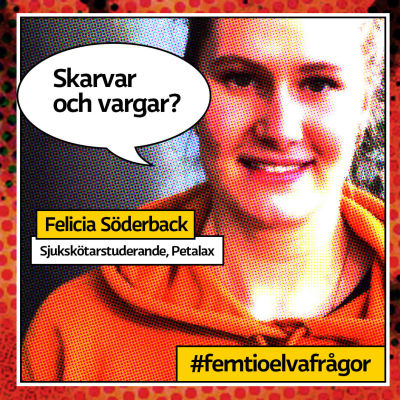 Felicia Söderback. 