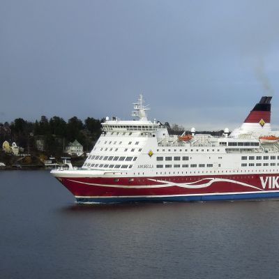 Viking Amorella