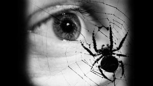 Hämähäkki verkossaan ja taustalla ihmisen silmä