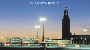 En del av pärmen till Agneta Pleijels roman En vinter i Stockholm. 1997. En del av pärmen till Agneta Pleijels roman En vinter i Stockholm.