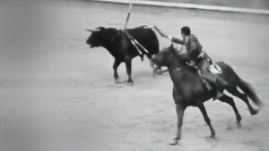 Härkätaistelua Espanjassa 1969. Matadori ratsastaa ja ärsyttää härän suunniltaan.
