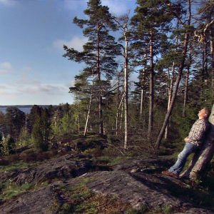 Ohjaaja Petteri Saario nojaa mäntyyn Helsingin Vartiosaaressa.