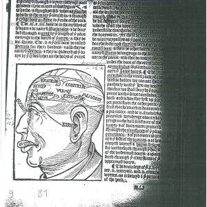 Keskiaikainen piirustus kuvaa, missä osissa aivoja eri henkiset toiminnat tapahtuvat.
