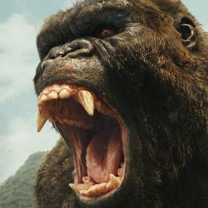 När bild av Kong.