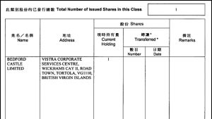 Det Hong Kong-baserade företaget ägs av ett annat företag som i sin tur är registrerat på Brittiska Jungfruöarna. Ett utdrag ur handelsregistret i Hong Kong.