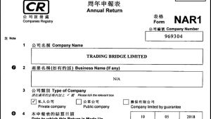 Den ryske mannens Hong Kong-baserade företag är grundat för över tio år sedan. Ett utdrag ur ett handelsregister i Hong Kong.
