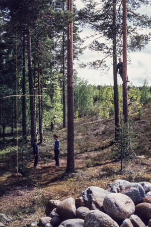 Ihminen puussa ja kaksi maassa puiden keskellä, joista roikkuu kiviä köysien varassa Turppi-ryhmän maataideperformanssissa Lepopaikka Lehtimäessä 1982.