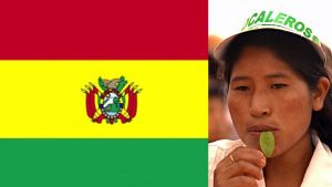 Vasemmalla Bolivian lippu ja oikealla nainen pureskelee kokanlehteä.