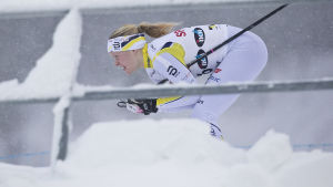 Andrea Julin var bäst på damsidan bland FSS-åkarna. Andrea Julin, skandinaviska cupen, Lahtis, januari 2017.