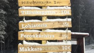 Det var köttungt under den alpina världscuphelgen i Levi. Skylt under världscuphelgen i Levi.