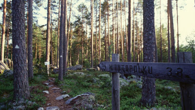 Luontopolku Koloveden kansallispuistossa
