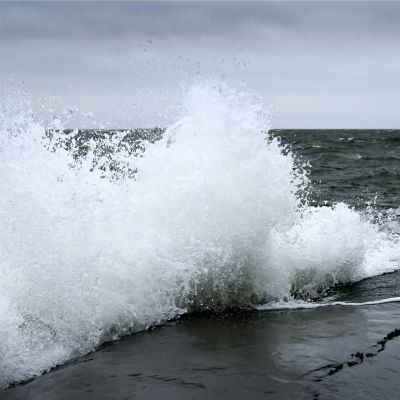 Tyrskyjä Helsingin Uunisaaressa perjantaina 3. tammikuuta.