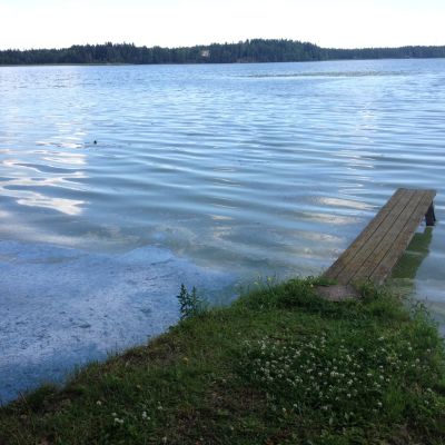 Söndagens regnskur hade en hämmande effekt på algerna.
