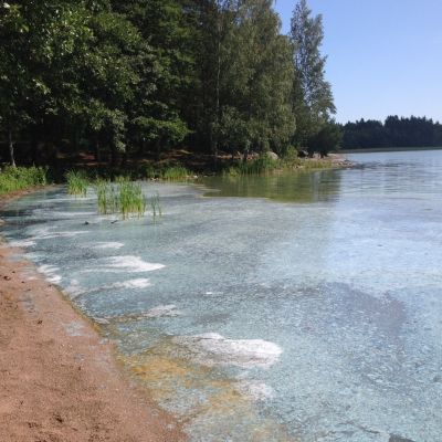 Det går inte att simma vid Littois träsk.