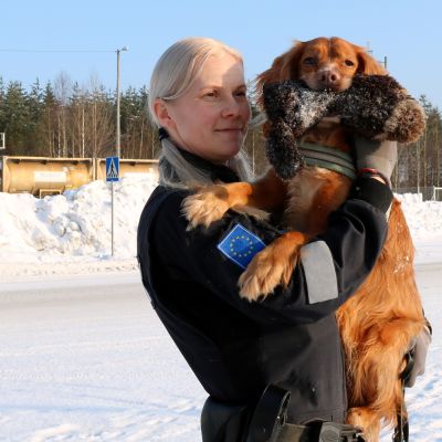 Huumekoira Veikko jää eläkkeelle