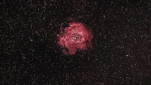 Rosette nebulosa. Orion nebulosa. Får användas endast i samband med artikel om Sällskapet Natura