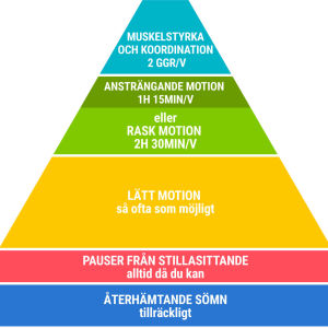 Den nya motionsrekommendationen betonar vikten av sömn och lätt motion. Såhär ser den ut. Triangel med motionsråd. Från botten (bredast), Återhämtande sömn, Pauser från stillasittande, Lätt motion - så ofta som möjligt, ansträngande motion 1h 15min per vecka eller rask motion 2h 30min per vecka, muskelstyrka och koordination 2ggr per vecka.