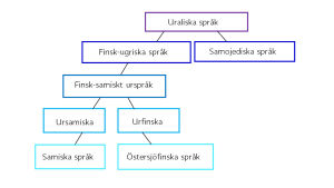 Figuren visar hur de samiska språken har sina rötter i det uraliska urspråket. Figuren visar hur de samiska språken har sina rötter i det uraliska urspråket.