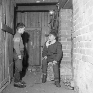 Kellarissa asuva perheen pojat kellarikäytävällä (1956)