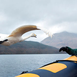 Kolmiosaisessa sarjassa David Attenborough kertoo lentävien eläinten historian.