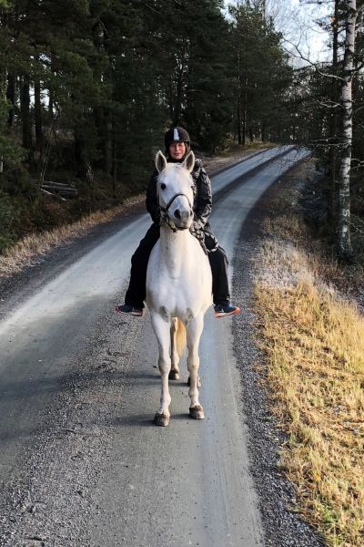 En kvinna som rider en vit häst på en landsväg.