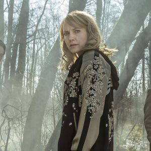 Jordskott (16)