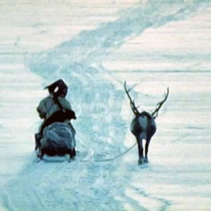 Skierri – vaivaiskoivujen maa (1982)