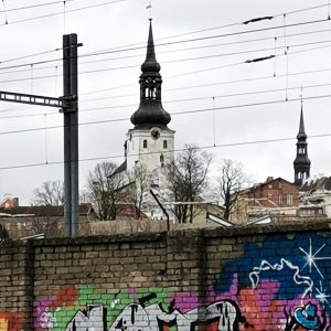 I Estland är det få som vill befatta sig med problemen, åtminstone inom politiken. Tallinn