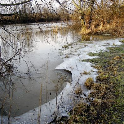 Vantaanjoki virtaa vuolaana ja vapaana jäästä Vantaan Tammistonrannassa.