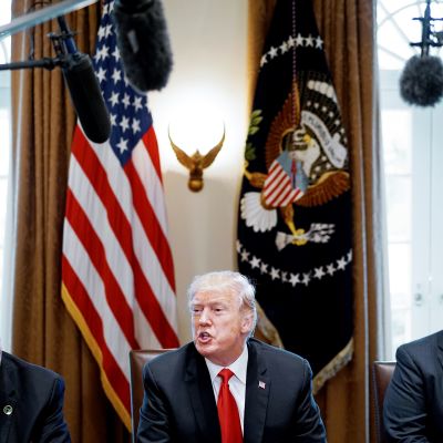 Donald Trump tapaa teräs- ja alumiiniteollisuuden johtajia Valkoisessa talossa Washingtonissa.