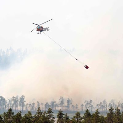 Pelastushelikopteri kaataa vettä metsään Ljusdalissa.