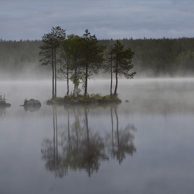 Järvimaisema Kuusamosta.