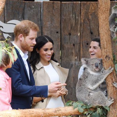 Prinssi Harry ja hänen puolisonsa Meghan Tarongan eläintarhassa, Sydneyssä.